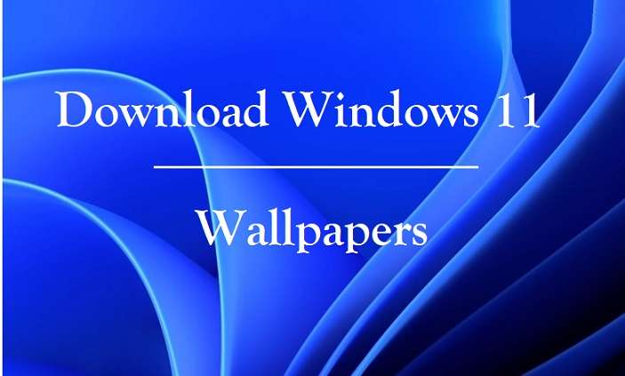 Download Windows 11 Wallpapers