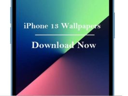 iPhone 13 Wallpapers