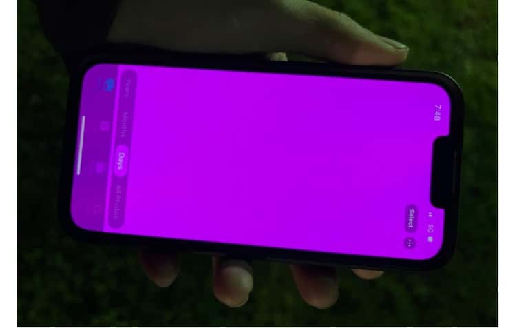 iPhone 13 Pink Screen