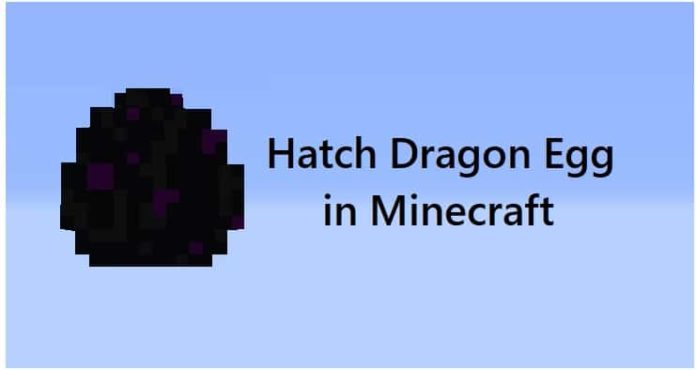 Hatch a Dragon Egg in Minecraft