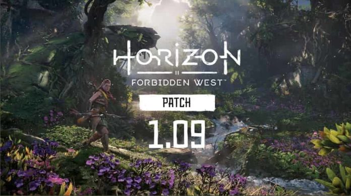 Horizon Forbidden West Patch 1.09