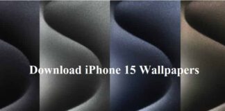 Download Free iPhone 15 Wallpapers