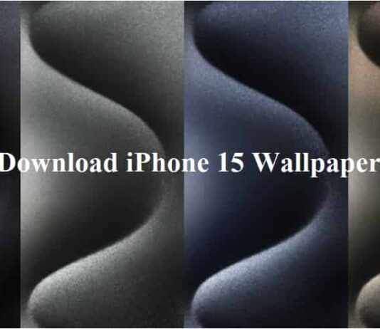 Download Free iPhone 15 Wallpapers
